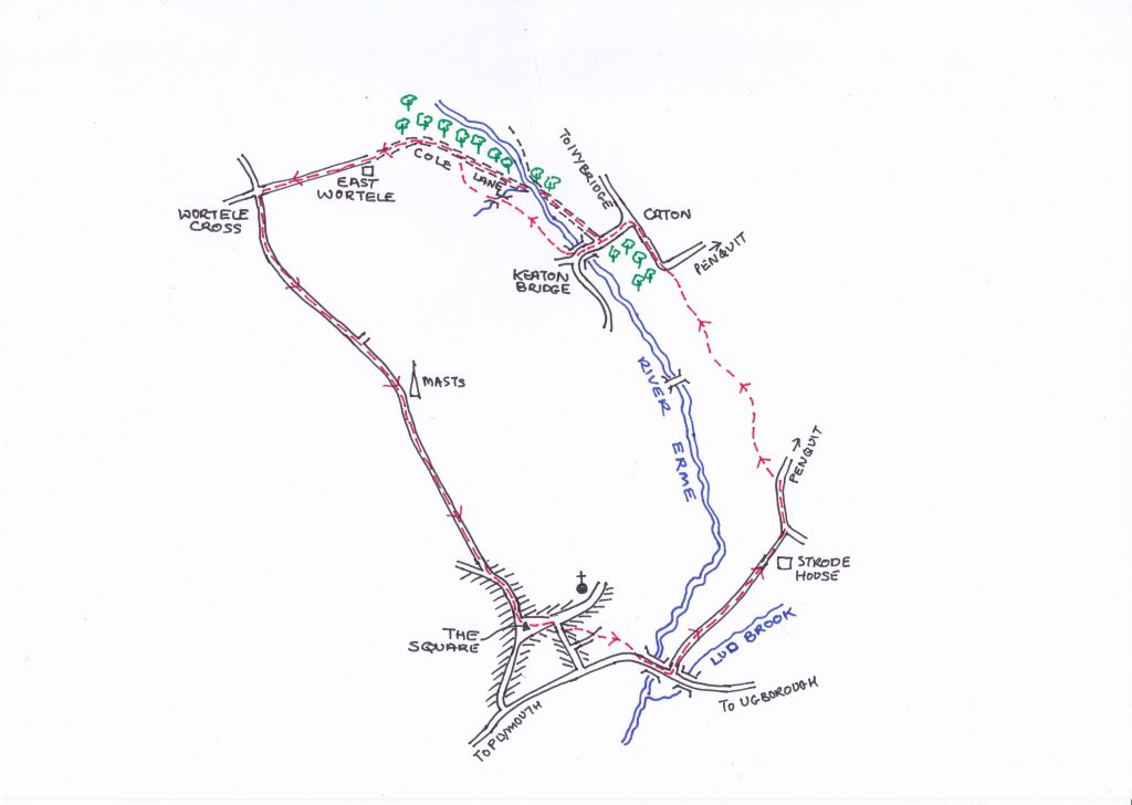 Cole Lane Walk Map