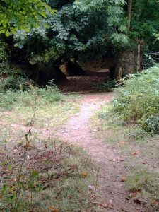 Old lane near Coyton